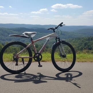 CYCLE 27 DISC SINGLE SPEED