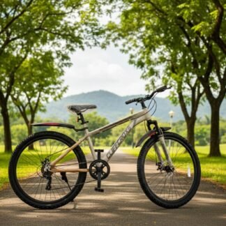 CYCLE 29 DISC SINGLE SPEED