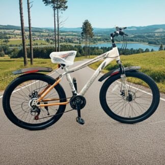 CYCLE 26 GEAR STEEL RIM ECONOMY