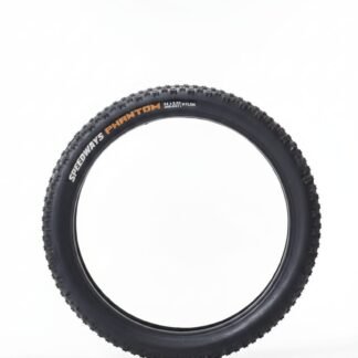 TYRE 24 300 SPEEDWAYS 2209