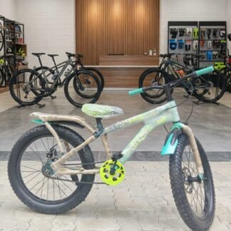 CYCLE 20 DISC 20 300 PANTHER REGED- CY 1419